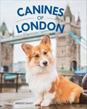 canines-of-london-1919458-1