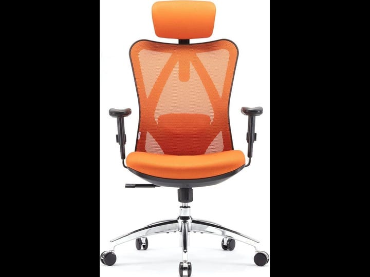 sihoo-m18-ergonomic-office-chair-for-big-and-tall-people-adjustable-headrest-with-2d-armrest-lumbar--1