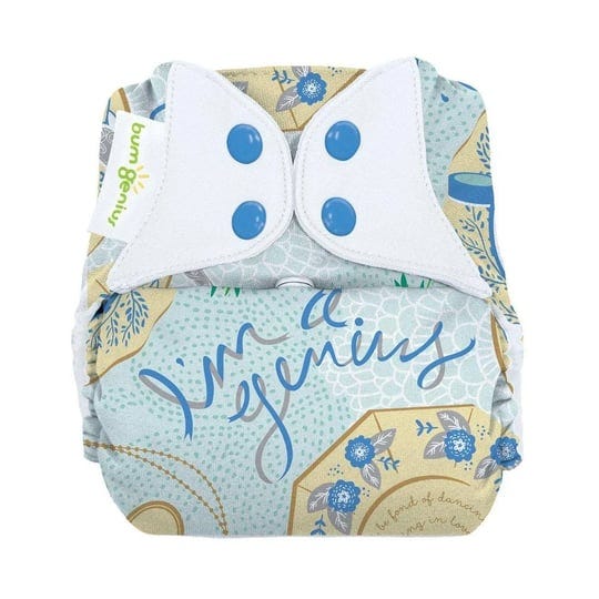 bumgenius-freetime-all-in-one-one-size-cloth-diaper-austen-1