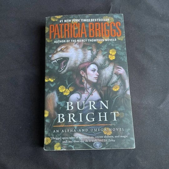 burn-bright-book-1