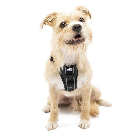 kurgo-tru-fit-smart-dog-walking-harness-black-s-1