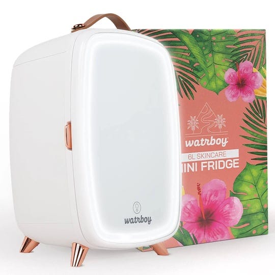 watrboy-professional-skincare-fridge-6-liter-cosmetic-beauty-fridge-mini-makeup-fridge-for-skin-care-1