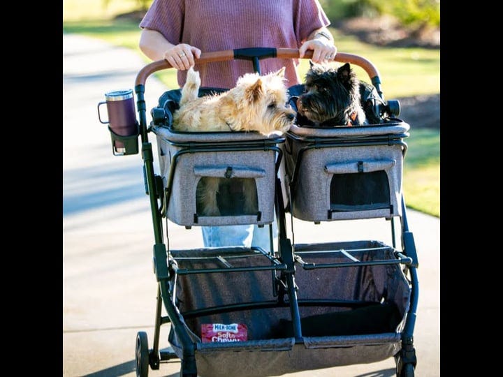 luxury-double-dog-stroller-for-2-dogs-or-cats-1