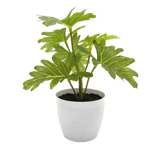 6-potted-philodendron-plant-by-ashland-in-white-michaels-1