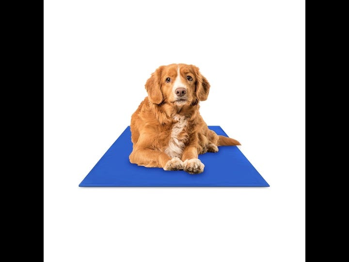 hugs-pet-products-chilly-mat-medium-1