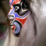 bodyart_1-263x400