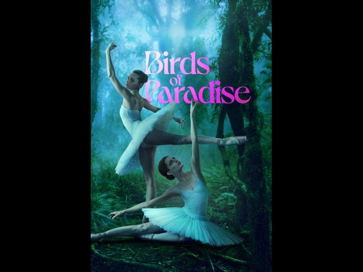 birds-of-paradise-tt11771006-1