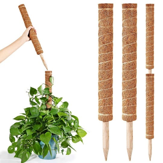 byrenmassty-80-inch-moss-pole-for-plants-monstera-4-pack-20-inch-plant-poles-for-climbing-plants-ind-1