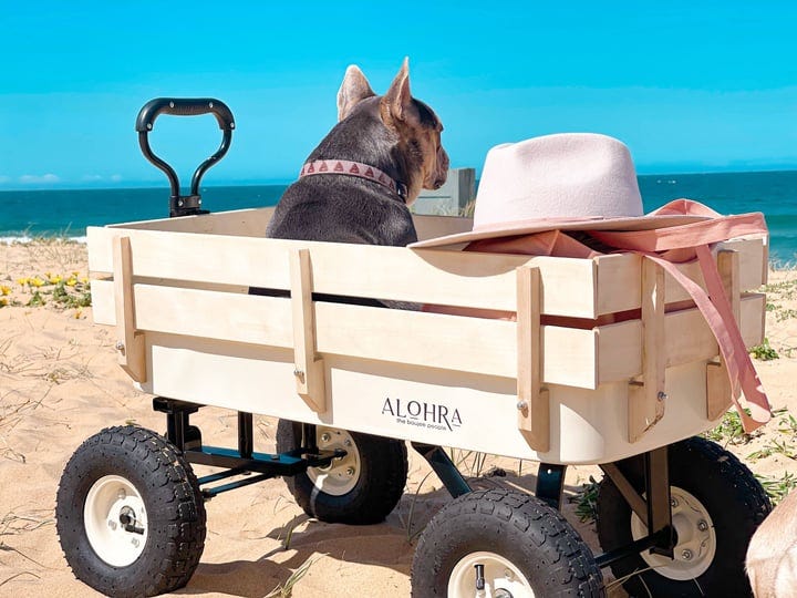 alohra-timber-beach-carts-pearled-ivory-1