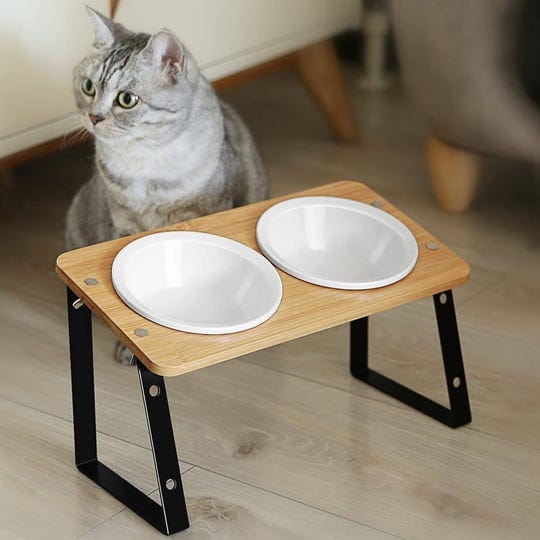 ayada-elevated-cat-bowls-height-adjustable-raised-with-stand-lifted-ergonomic-anti-vomiting-non-slip-1