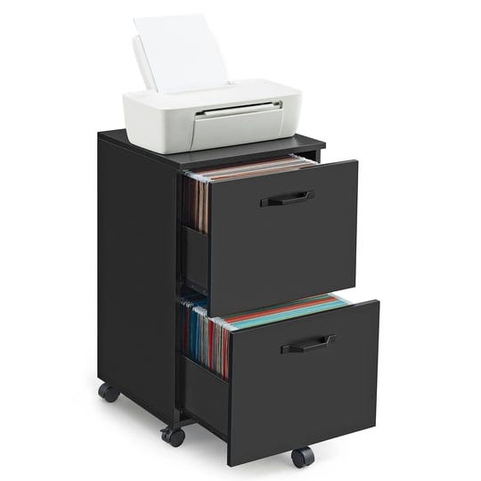 vasagle-2-drawer-file-cabinet-matte-black-1