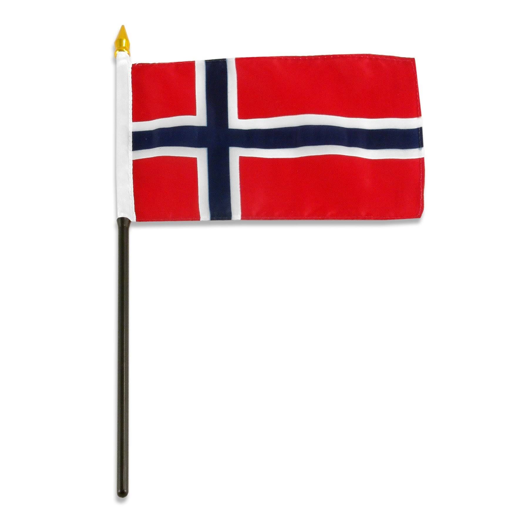 US Flag Store Norwegian Flag | Image
