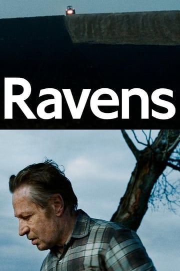 ravens-5090336-1