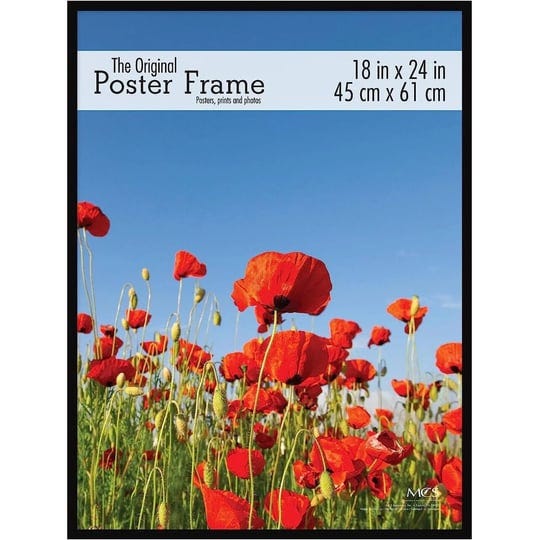 acrylic-poster-frame-24-x-36-in-clear-black-1