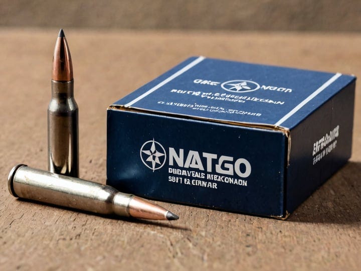 308-Nato-3