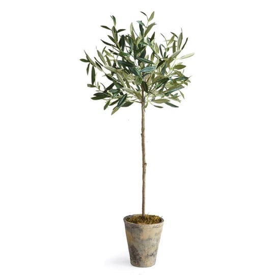 napa-home-garden-olive-30-potted-tree-1