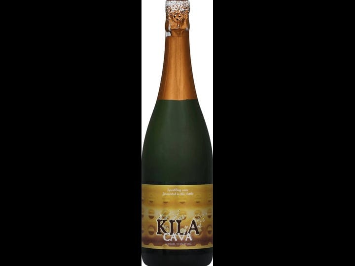 jorge-ordonez-sparkling-wine-kila-cava-2009-750-ml-1