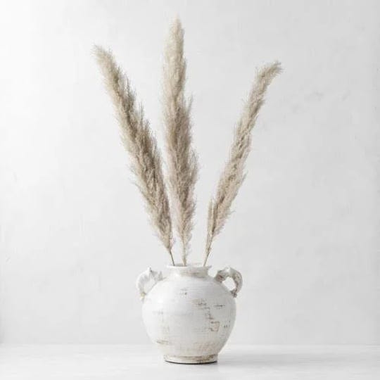 dried-pampas-bunch-set-of-3-williams-sonoma-1