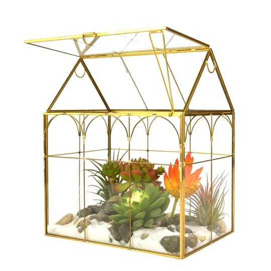 large-tall-plant-terrarium-glass-glass-greenhouse-terrarium-with-lidindoor-tabletop-orchid-succulent-1