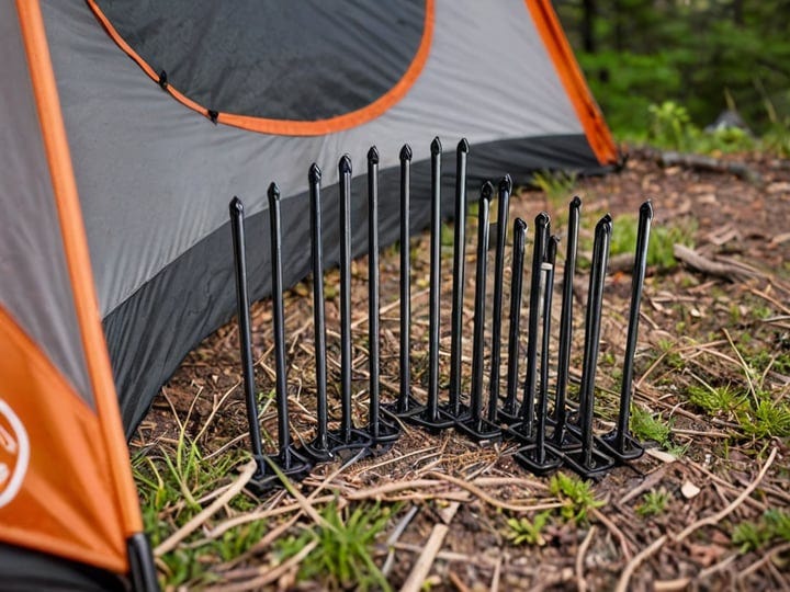 Big-Agnes-Tent-Stakes-4