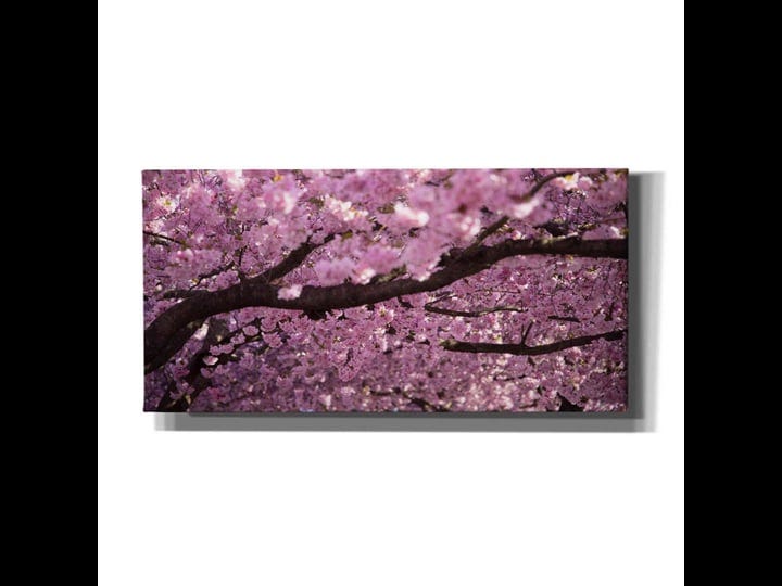 cortesi-home-cherry-blossom-tree-panorama-by-nicklas-gustafsson-canvas-wall-art-24x12-1