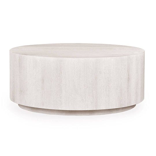 taryn-drum-coffee-table-color-white-wash-1