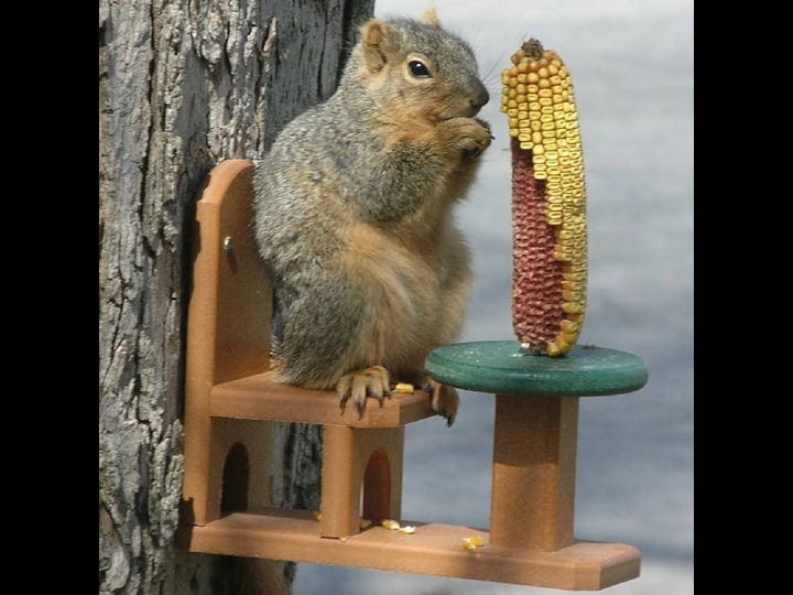 songbird-essentials-recycled-poly-squirrel-feeder-table-chair-1