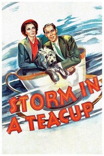 storm-in-a-teacup-tt0029611-1