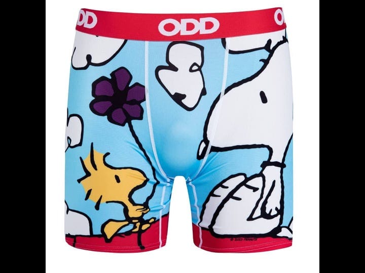 odd-sox-on-the-dog-house-novelty-boxer-briefs-for-men-adult-large-1