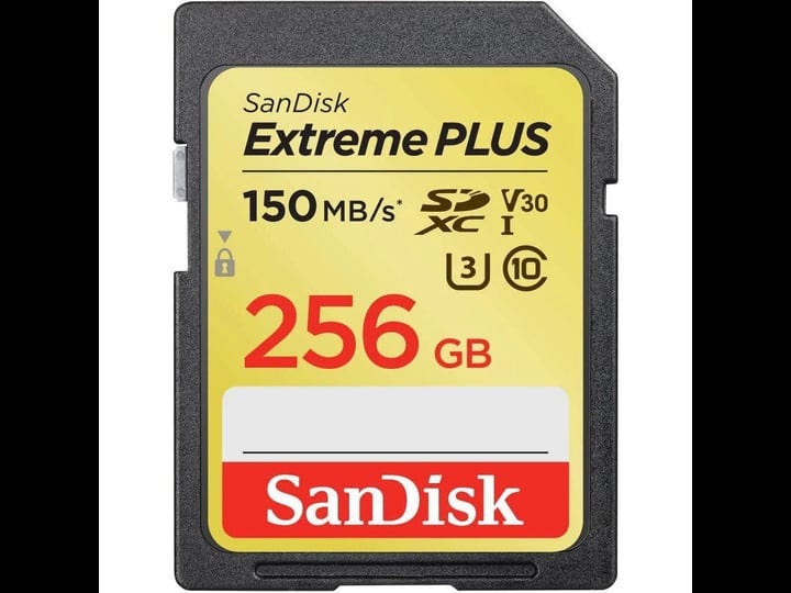 sandisk-extreme-plus-256gb-sd-1