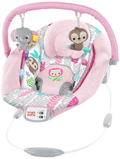 bright-starts-rosy-vines-comfy-baby-bouncer-with-vibrating-infant-seat-taggies-1