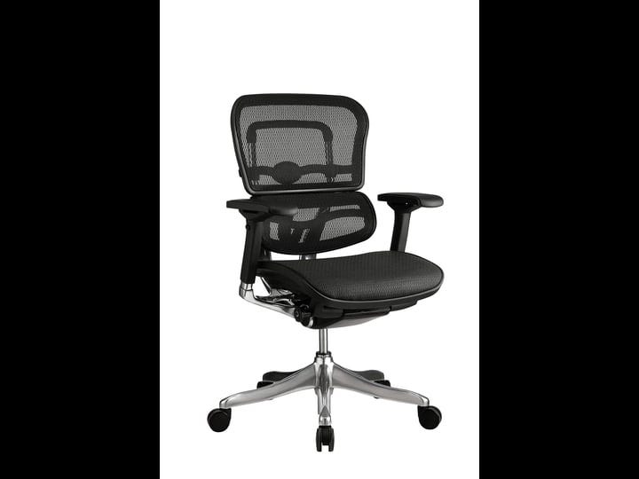 eurotech-ergohuman-elite-mesh-chair-black-mid-back-1