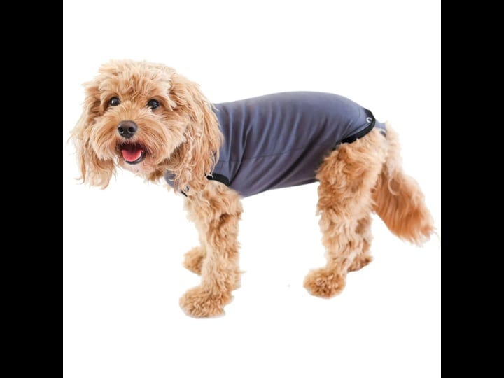 bellyguard-after-surgery-recovery-onesie-post-spay-neuter-body-suit-for-male-and-female-dogs-comfort-1