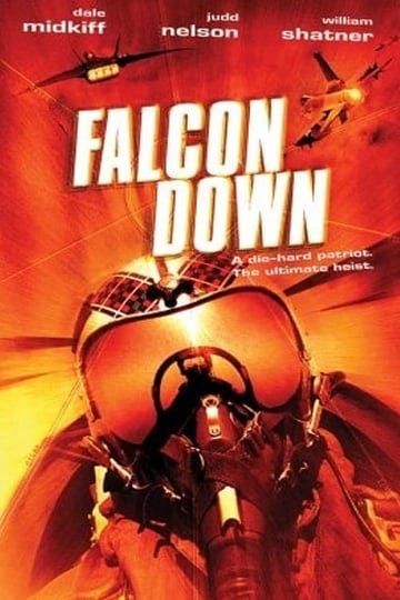falcon-down-1546546-1