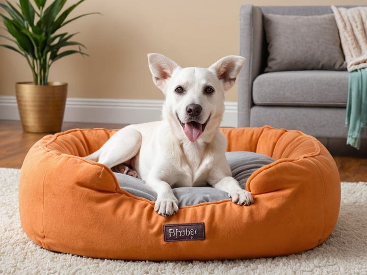 Cozy-Dog-Beds-4