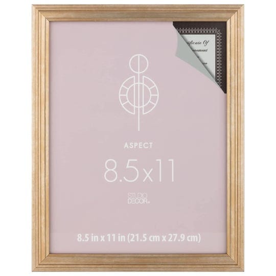 studio-decor-8-5-x-11-aspect-gold-narrow-frame-each-1