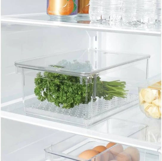 brightroom-clear-produce-fridge-bin-target-1