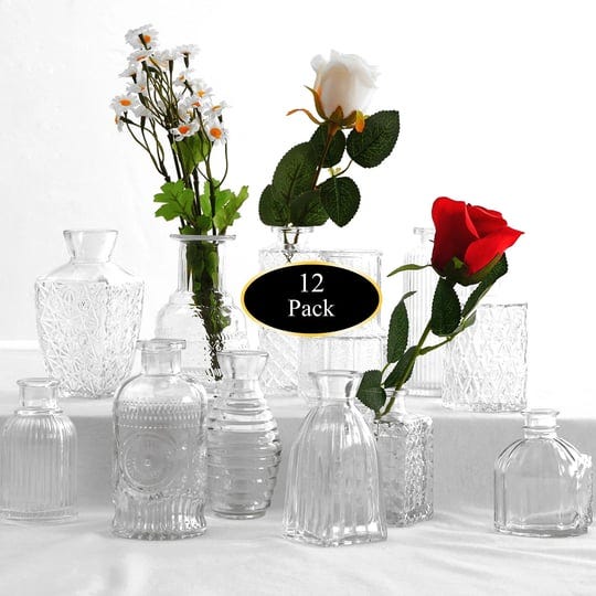 12pcs-glass-bud-vase-setvases-bulkssmall-flower-vase-for-centerpiecesclear-bud-vases-in-bulkmini-vin-1