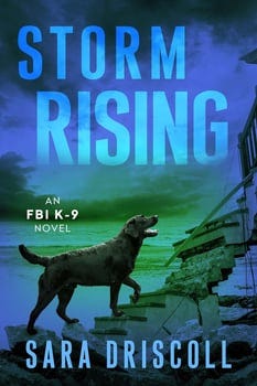 storm-rising-574666-1