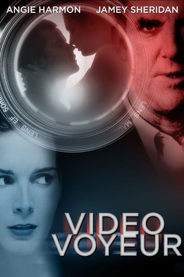 video-voyeur-the-susan-wilson-story-1845230-1