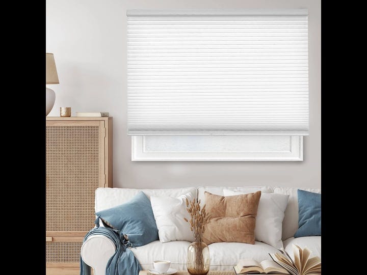chicology-cordless-cellular-shades-privacy-single-cell-window-blind-24-w-x-49