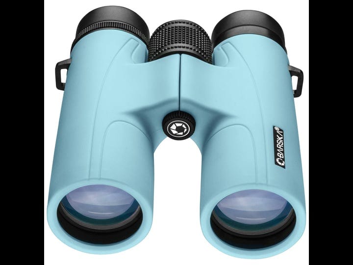 barska-crush-10-mm-x-42-mm-binoculars-breeze-1