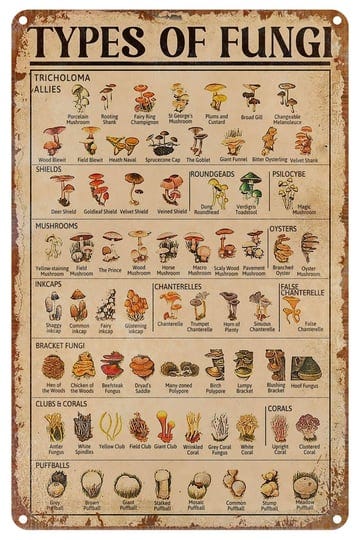 metal-tin-signs-mushroom-art-wall-decor-types-of-fungi-mushroom-knowledge-tin-sign-decoration-vintag-1