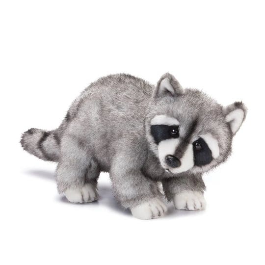 raccoon-large-1