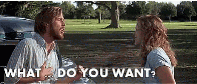 An animated GIF from the movie The Notebook were one character ask to the other shouting “WHAT DO YOU WANT?”