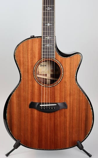 taylor-builder-s-edition-914ce-1