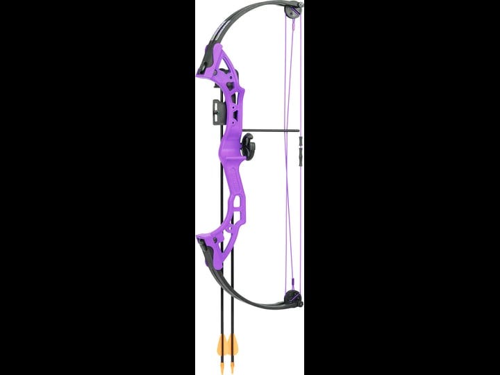 bear-archery-brave-youth-bow-purple-1