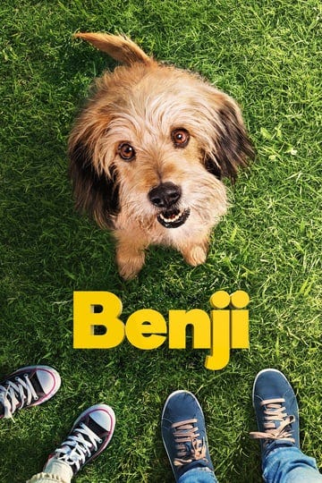 benji-1344160-1