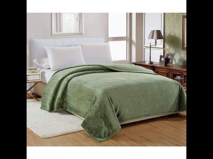 ultra-lush-soft-cozy-popcorn-textured-microplush-blanket-queen-size-86-inch-x-86-inch-sage-green-1