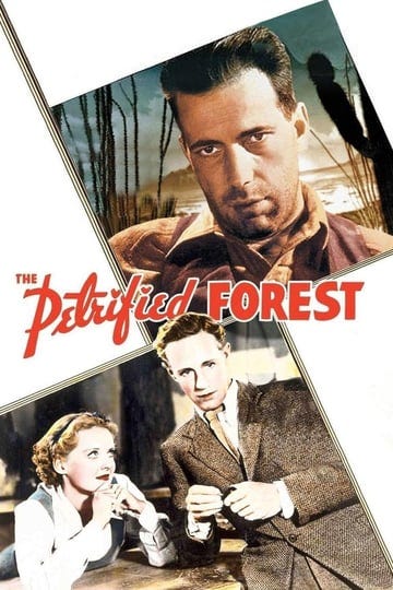 the-petrified-forest-917192-1